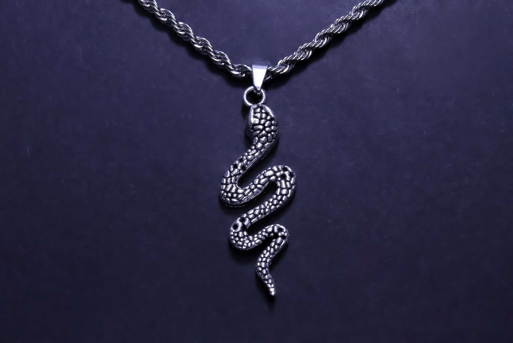 Snake Silver Rope Necklace