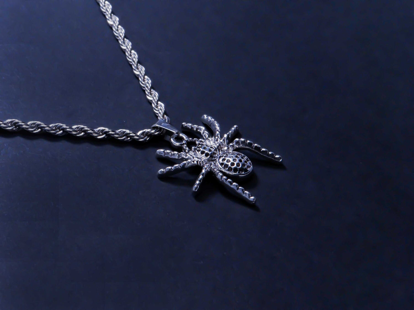 Polka Dot Spider Silver Rope Necklace