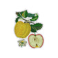 Apple and Half Apple Iron on Patch Sew on embroidered patches - Food & Dining Embroidery Designs Women Badge Applique for Clothing Jackets